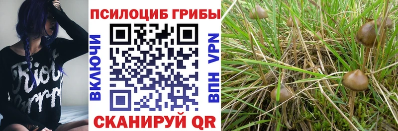 Псилоцибиновые грибы ЛСД  Купить  Ростов-на-Дону 