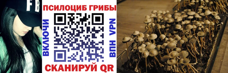 Галлюциногенные грибы ЛСД Ростов-на-Дону